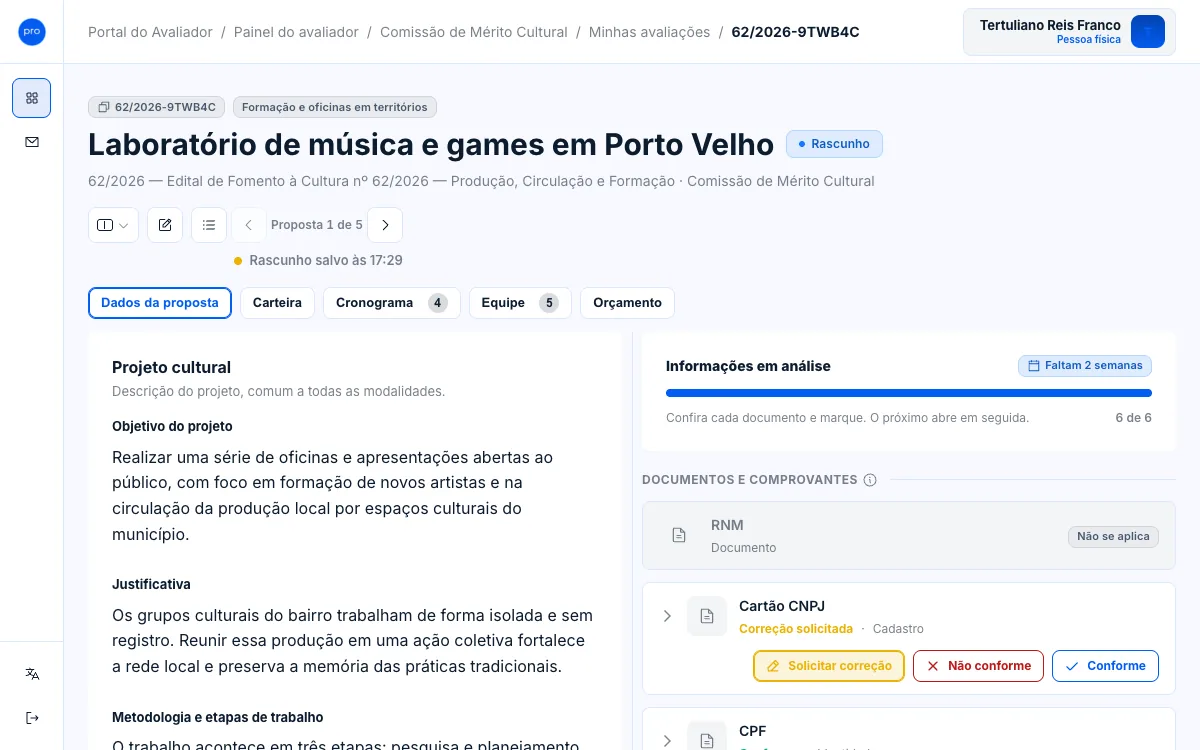 Formulário de conferência com o painel Informações em análise e os itens RNM, Cartão CNPJ e CPF.