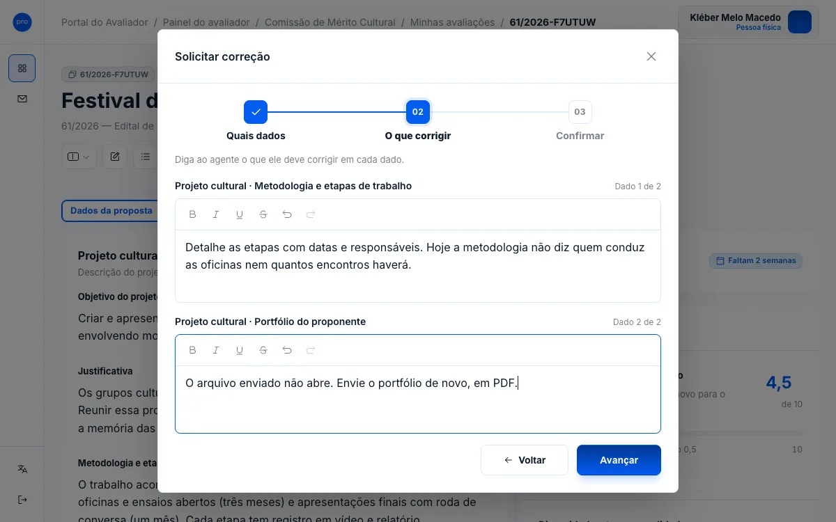 Passo 2 com o texto do que corrigir em cada dado.